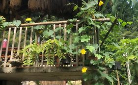 Truong Giang Homestay